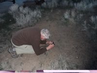 Beckwith’s violet, sagebrush pansy