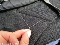 threeawn grass (<em>Aristida purpurea var. longiseta</em>)